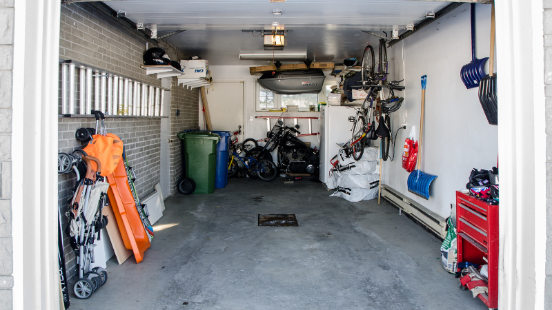 Garage Wall Mold