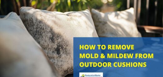 how to remove mold from outdoor cushions