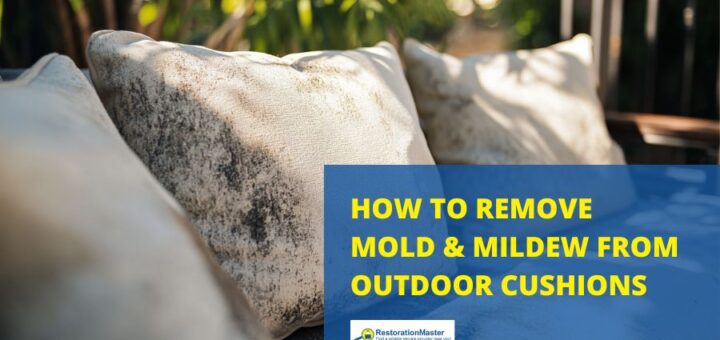 how to remove mold from outdoor cushions