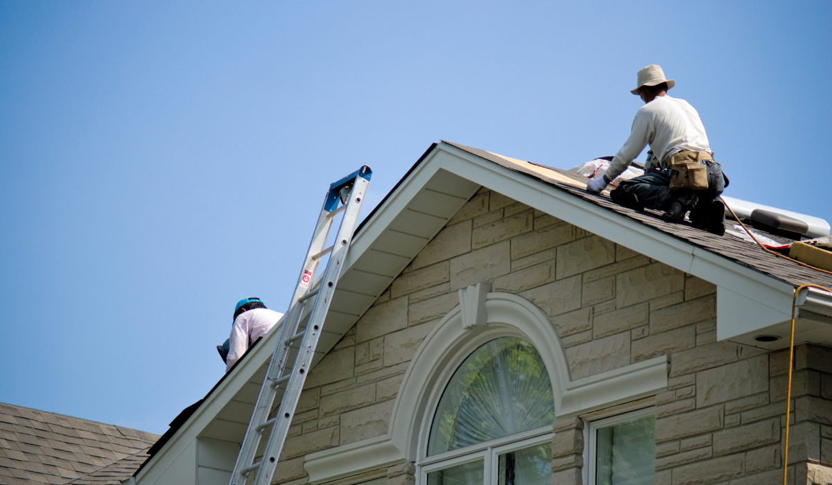 Repair the roof leak