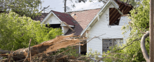 Tree Fallen in Front of House