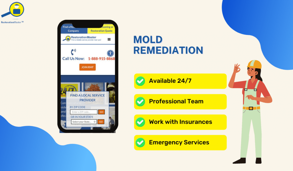 mold remediation professionals