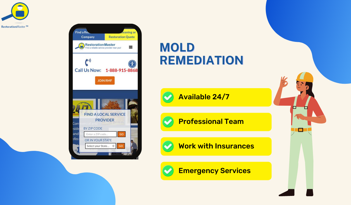 7 Mold Abatement Techniques Used by the Professionals