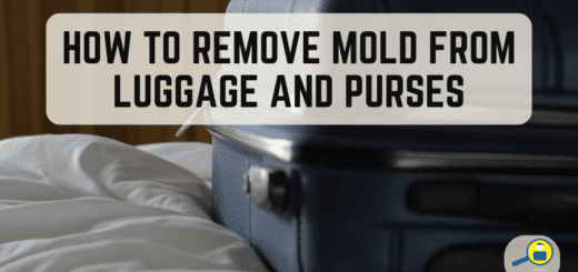 How to Remove Mold from Luggage and Purses