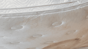 How to Prevent and Remove Mold Growth from Your Mattress