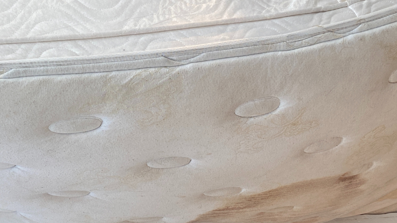 can a mattress with mold spores be cleaned