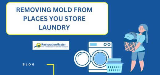 remove-mold-from-places-you-store-laundry