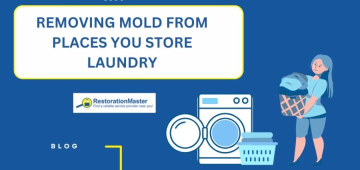 remove-mold-from-places-you-store-laundry