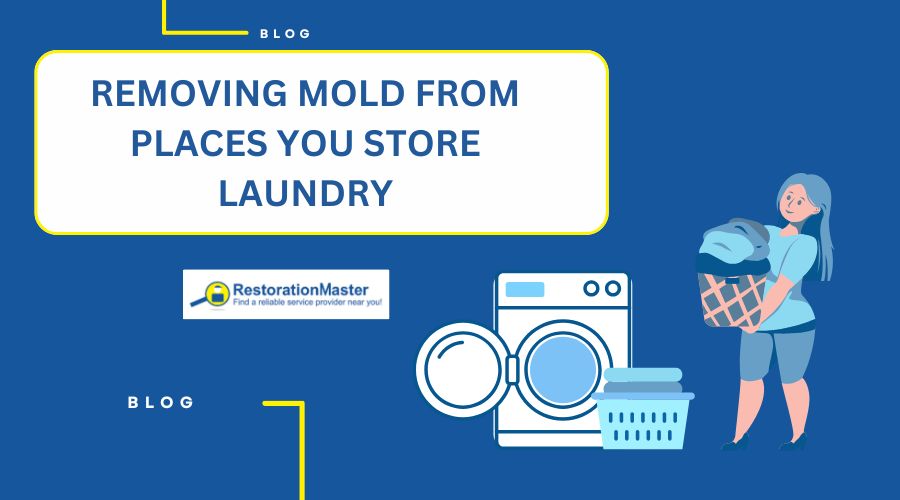 remove-mold-from-places-you-store-laundry