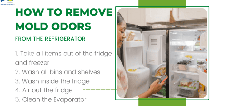 How to Remove Mold Odors from the Refrigerator
