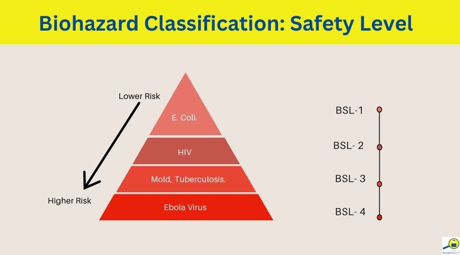 biohazard safety level classification
