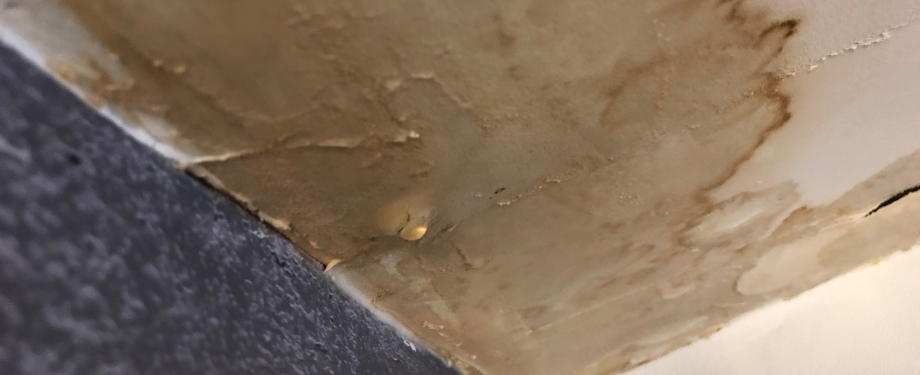 Water Damaged Ceiling