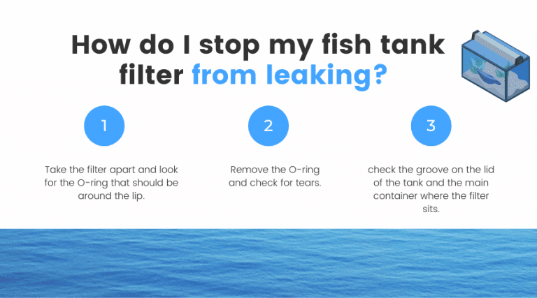 dealing-with-a-leak-from-a-fish-tank-filter-clean-water-damage