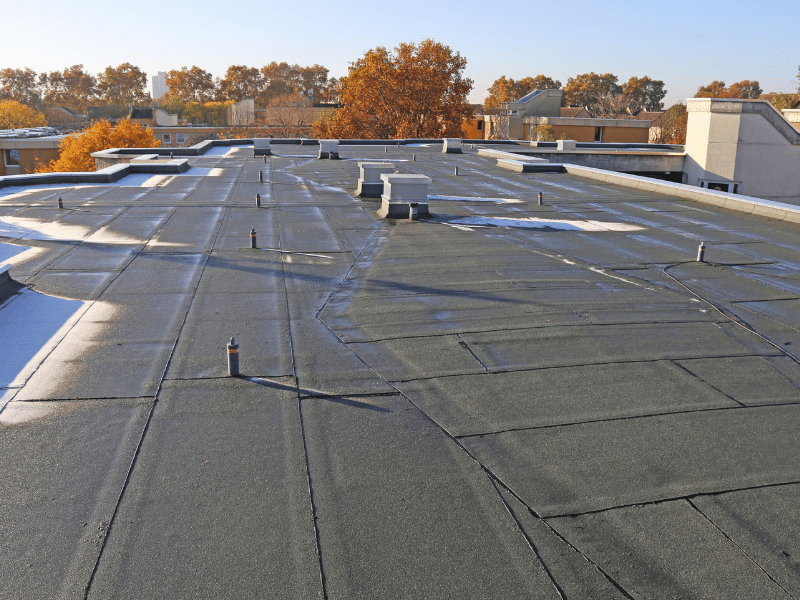 Importance of Moisture Assessment Before Repairing or Replacing Your Roof