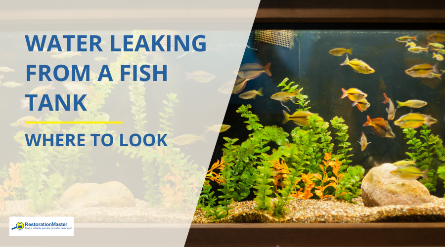 Water Leaking from a Fish Tank - Where to Look - RestorationMaster