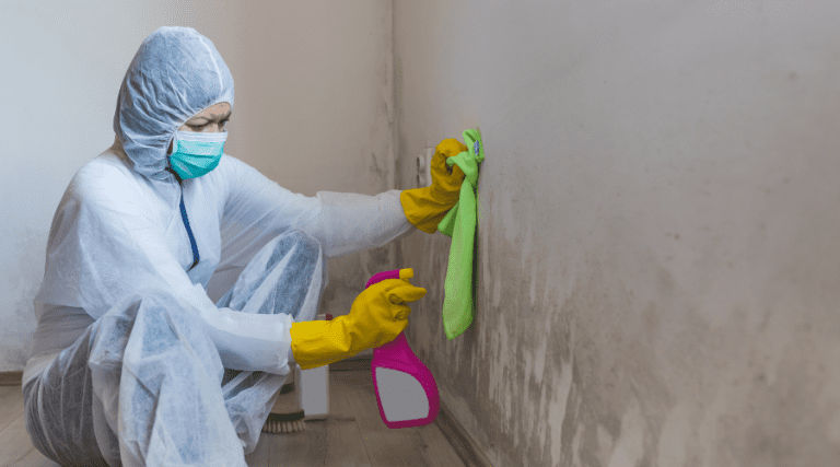 How To Remove Mold From Painted Surfaces