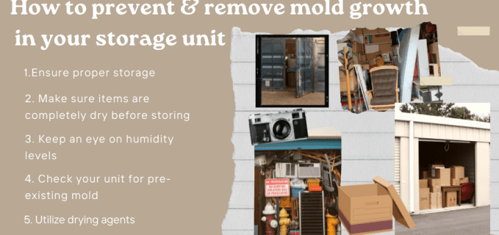 How to prevent and remove mold growth in your storage unit