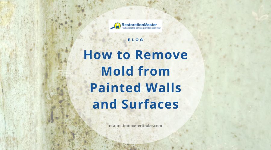 How to Remove Mold from Painted Walls