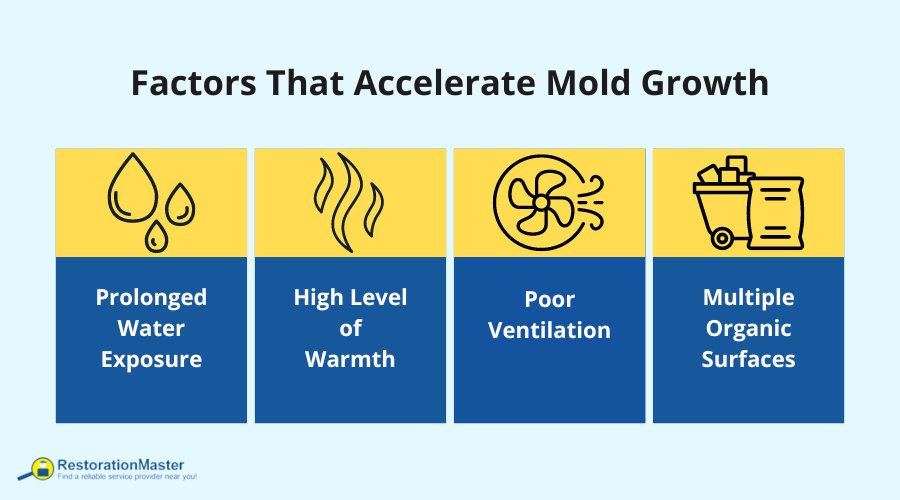 Factors that Accelerate Mold Growth