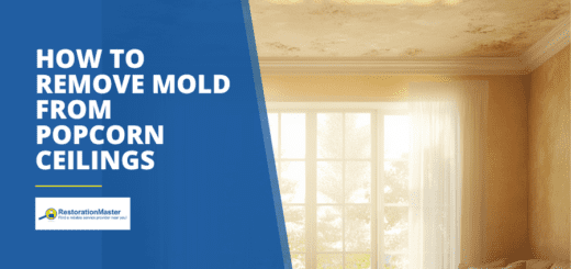 How to Remove Mold from Popcorn Ceilings - RestorationMaster