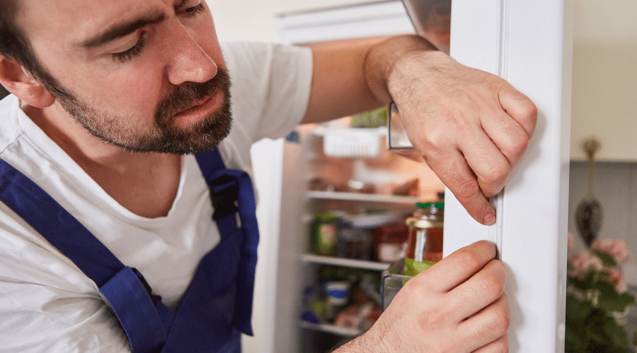 How to Remove Mold from the Refrigerator Seal