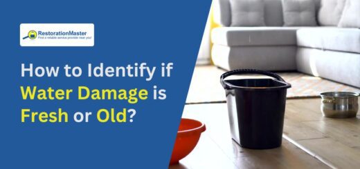 How to identify if water damage is fresh or old