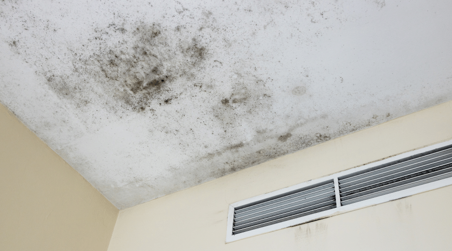 Mold on Popcorn Ceilings