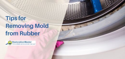 tips for removing mold from rubber