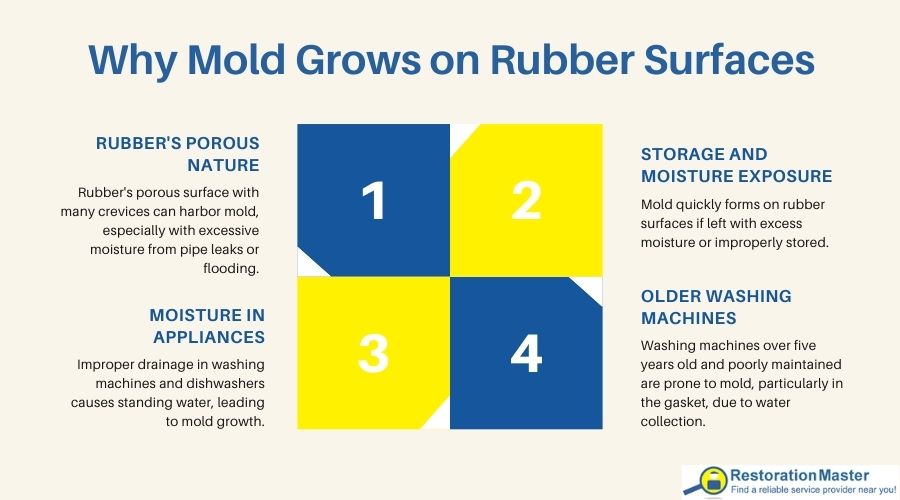 why mold grows on rubber surfaces