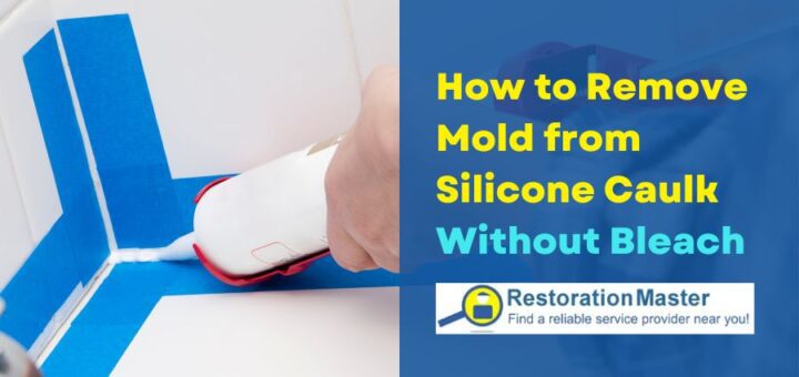 cleaning mold on silicone caulk