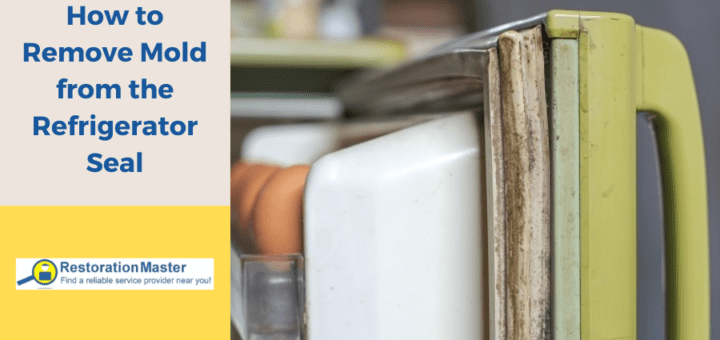 How to Remove Mold From Refrigerator Seal