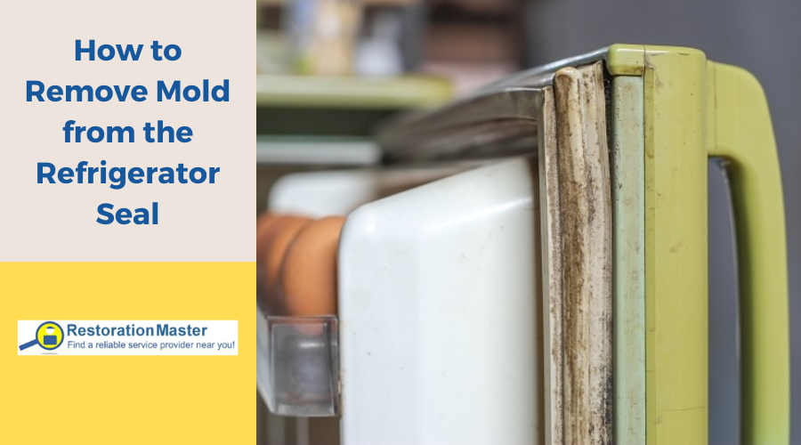How to Remove Mold From Refrigerator Seal