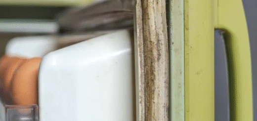 Mold on Fridge Gasket - RestorationMaster