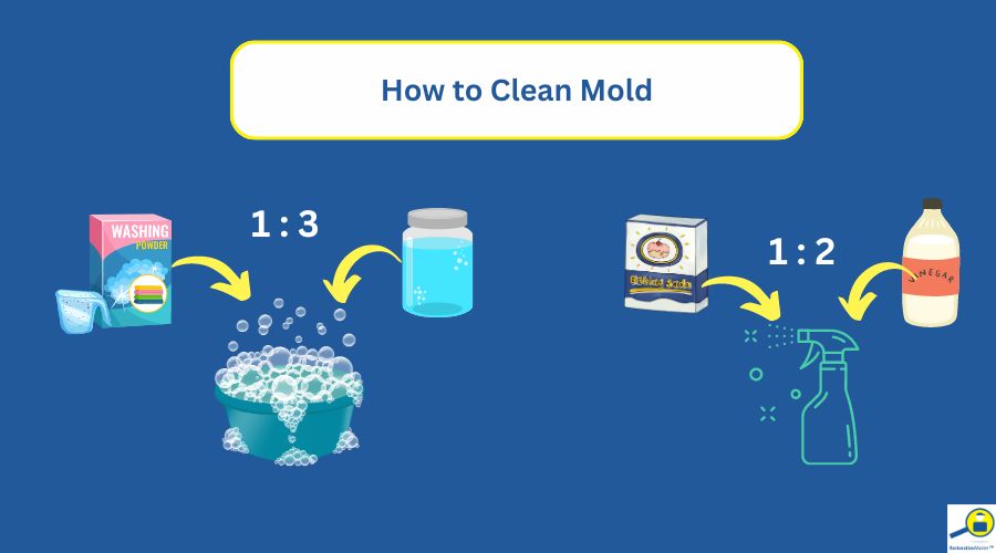 how to clean mold