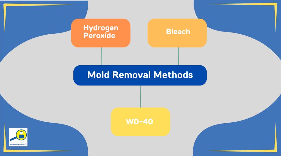 mold removal methods