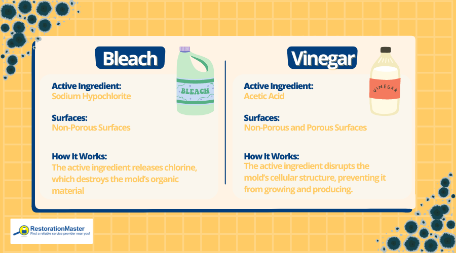 Bleach vs. Vinegar for Mold Removal - RestorationMaster