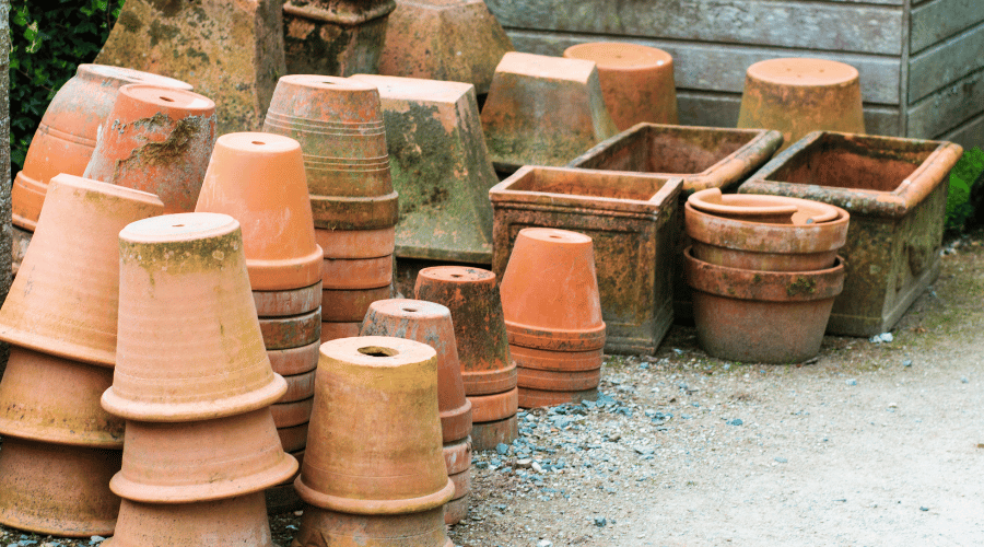 Use proper drainage to Prevent Mold Growth on Terracotta Pots