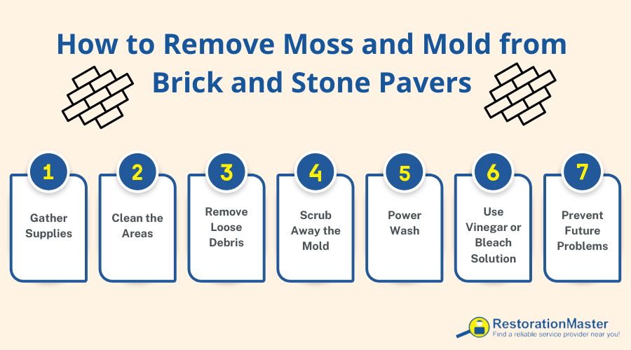 tips to remove mold from brick pavers