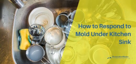 how to remove mold under kitchen sink