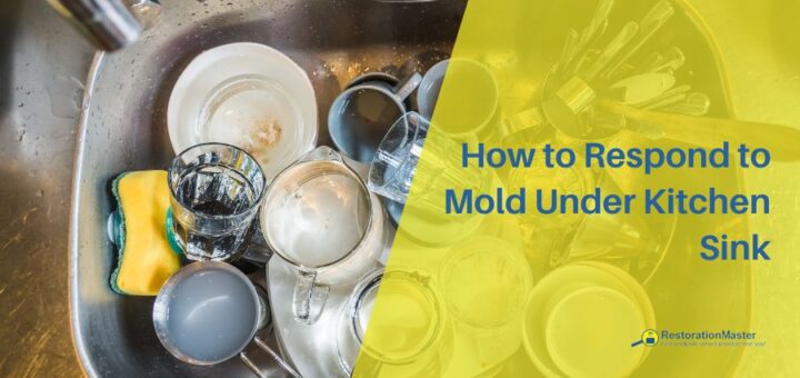 how to remove mold under kitchen sink