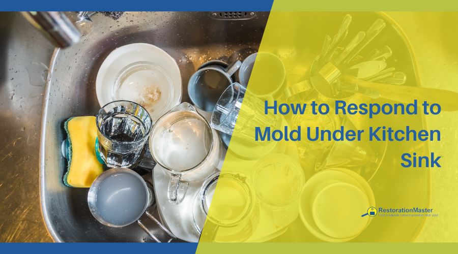 how to remove mold under kitchen sink