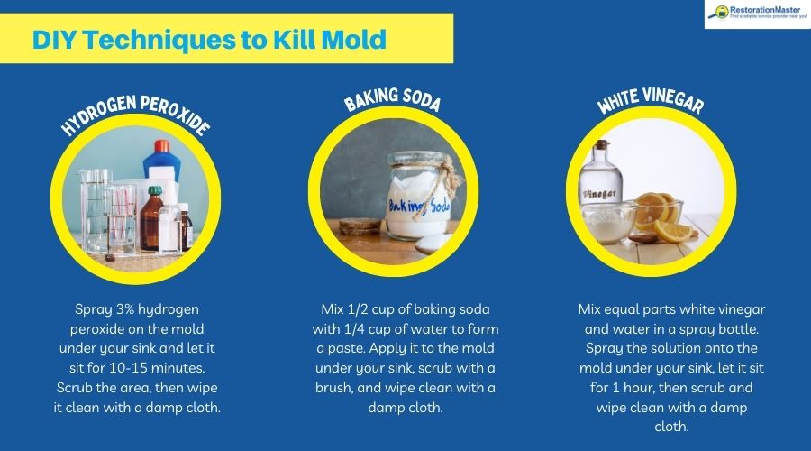 diy methods to kill mold