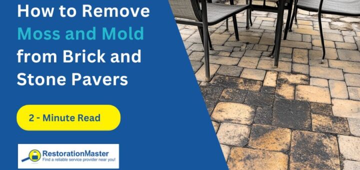 how to remove moss and mold from brick and stone pavers