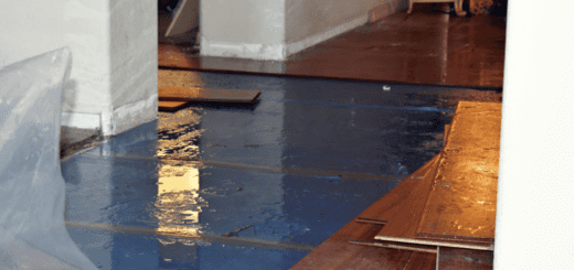 Stagnant water in the home