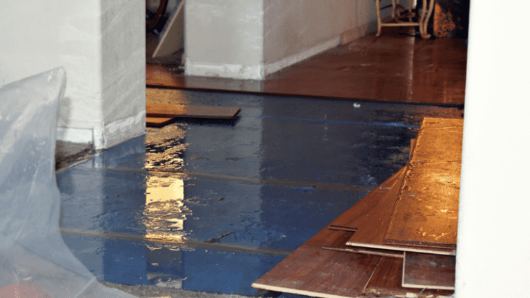 the-dangers-of-stagnant-water-and-how-to-remove-it