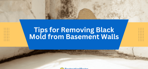 Tips for Removing Black Mold from Basement Walls