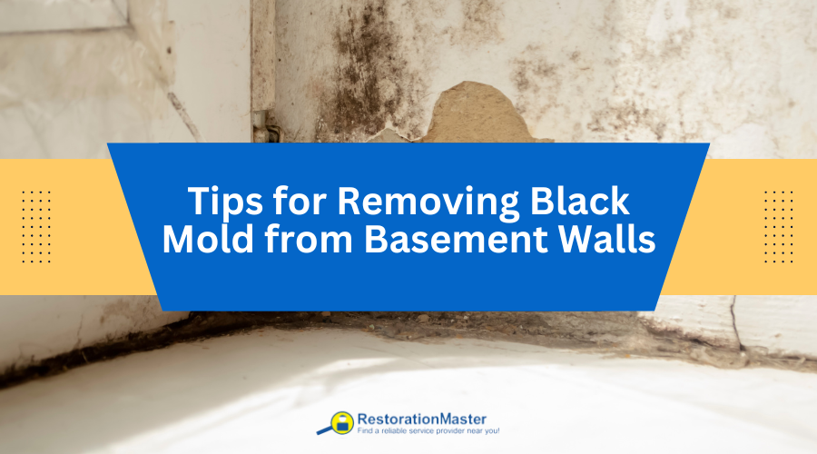 Tips for Removing Black Mold from Basement Walls