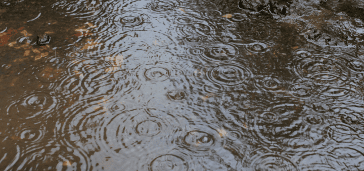 Protect Your Basement from Rainwater Flooding