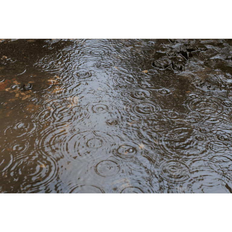 How to Protect Your Basement from Rainwater Flooding