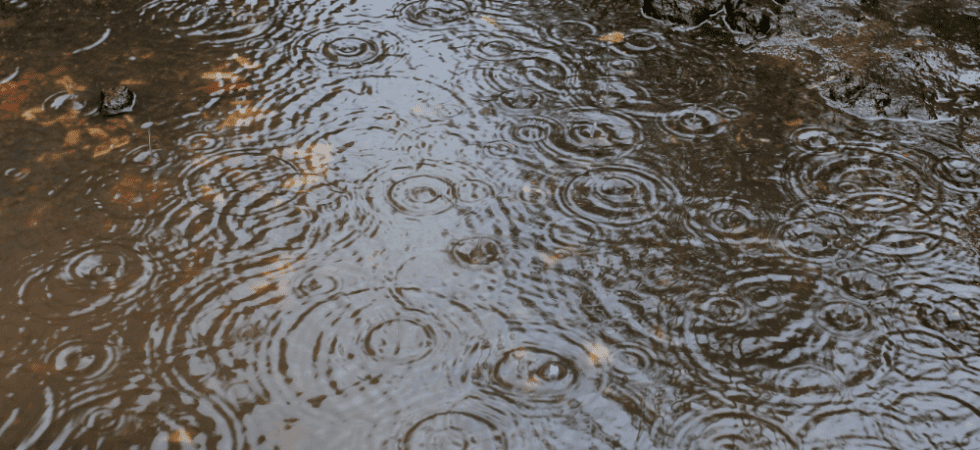 heavy-rainwater-in-fort-wayne-in